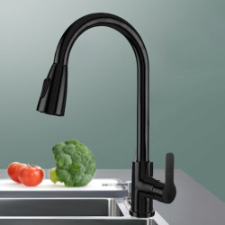 Sink Pull Out Tap Stainless Steel Deck Mounted Tap Single Handle Rotary Pull Tap Double Outlet Method Kitchen Accessory