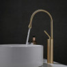 Brushed Gold Tall Bathroom Sink Mixer Tap: High Arc Deck Mounted Vessel Tap with Single Handle and Hot/Cold Water Hose