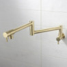 Stainless Steel Pot Filler Bathroom Tap: Cold Water Only, Brushed Golden Nickel, Foldable Wall Mount with Double Joint Swing Arm