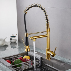 Modern Electroplated Kitchen Tap: Single Handle, One Hole, Pull-Out/Pull-Down, Deck Mounted Contemporary Design