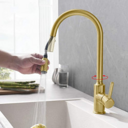 Black Gold Kitchen Sink Mixer Tap: Single Lever Handle, Brushed Solid Brass, Pull-Out Sprayer, One Hole with Hot/Cold Hose