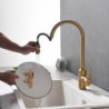 Black Gold Kitchen Sink Mixer Tap: Single Lever Handle, Brushed Solid Brass, Pull-Out Sprayer, One Hole with Hot/Cold Hose