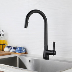 Modern Contemporary Kitchen Tap: Single Handle, Pull-Out Sprayer, Electroplated/Painted Finish, Standard Spout/High Arc Centerse