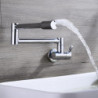 Silvery Wall Mounted Pot Filler Kitchen Tap: Single Handle, One Hole, Cold Water Only, Contemporary Design