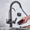 Rozin Purification Kitchen Taps Black Pull Out Kitchen Water Filter Tap 3 Way Mixer para cozinha de parede Crane