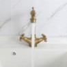 Antique Brass Kitchen Tap: Single Handle, One Hole, Rotatable Standard Spout/Tall/High Arc, Adjustable Hot/Cold Water Supply Lin