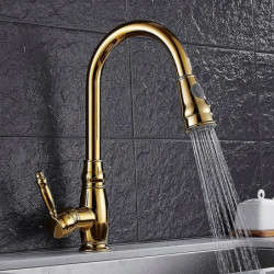 Contemporary Retro Style Kitchen Tap: Ti-PVD, Single Handle, One Hole, Pull-Out/Pull-Down Vessel/Brass Design