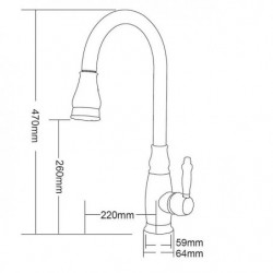 Contemporary Retro Style Kitchen Tap: Ti-PVD, Single Handle, One Hole, Pull-Out/Pull-Down Vessel/Brass Design