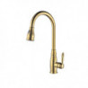 Contemporary Retro Style Kitchen Tap: Ti-PVD, Single Handle, One Hole, Pull-Out/Pull-Down Vessel/Brass Design