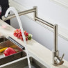 Nickel Brushed Pot Filler Kitchen Tap: Single Handle, One Hole, Free-Standing Contemporary Design