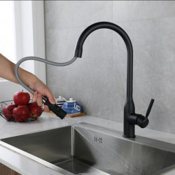 Modern Contemporary Kitchen Tap: Single Handle, One Hole, Nickel Brushed/Electroplated/Painted Finishes, Pull-Out/Pull-Down/Stan