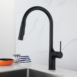 Contemporary Kitchen Tap: Single Handle, One Hole, Electroplated/Painted Finishes, Pull-Out/Pull-Down/Standard Spout/Tall/High A