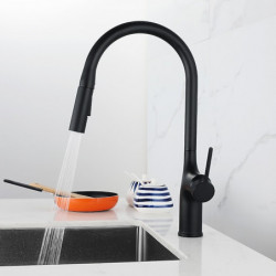 Contemporary Kitchen Tap: Single Handle, One Hole, Electroplated/Painted Finishes, Pull-Out/Pull-Down/Standard Spout/Tall/High A