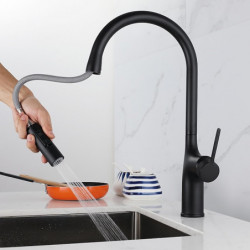 Contemporary Kitchen Tap: Single Handle, One Hole, Electroplated/Painted Finishes, Pull-Out/Pull-Down/Standard Spout/Tall/High A