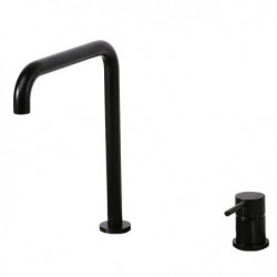 Black Brass Kitchen Tap: Single Handle, Two Holes, Widespread Painted Finish, Hot/Cold Water Sink Tap