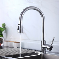 Modern Contemporary Kitchen Tap: Single Handle, One Hole, Chrome/Nickel Brushed/Electroplated, Pull-Out/Pull-Down/Standard Spout