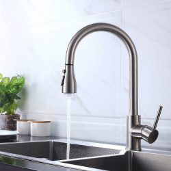 Modern Contemporary Kitchen Tap: Single Handle, One Hole, Chrome/Nickel Brushed/Electroplated, Pull-Out/Pull-Down/Standard Spout