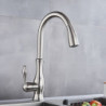 Modern Kitchen Tap with Pull-Out Spray: Brass, 2-Modes, Single Handle, One Hole, Hot and Cold Switch