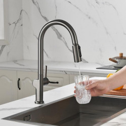 Modern Contemporary Kitchen Tap: Single Handle, One Hole, Chrome/Nickel Brushed/Electroplated, Pull-Out/Pull-Down, Tall/High Arc