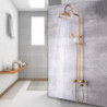 Vintage Style/Country Antique Brass Wall Mounted Shower System Set: Waterfall Handshower Included, Pullout, Ceramic Valve Bath S