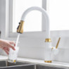 Kitchen pull-out telescopic Tap hot and cold water tank mixing valve black gold kitchen Tap