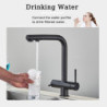 Rozin Water Purifier Kitchen Tap Black Pull Out Flexible Filter Kitchen Taps Crane Brass 2 in 1 Hot Cold Water Mixer Tap