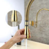 Brass Golden Kitchen Tap Hot/Cold Water Deck Mounted Mixers Tap Two Ways Pull Down Sprayer Head Sink Tap New Style Taps