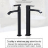 Bathroom Black Tap Waterfall 304 Stainless Steel Washbasin Single Cold Water Tap Bathroom Accessories Basin Handle Taps