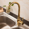 1PC Full Copper Sink Kitchen Tap European Style Golden Sink Hot and Cold Water Tap