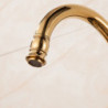 1PC Full Copper Sink Kitchen Tap European Style Golden Sink Hot and Cold Water Tap