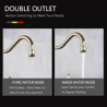 Golden Kitchen Filter Tap Brass 360 Rotation Purification Kitchen Tap Double Handle Dual Water Mode Hot Cold Mixer Taps