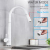 Rozin Touch Sense White Kitchen Tap White Pull Out Kitchen Mixer Taps Black Smart Sensor Stream Spray Mode Mixer Taps