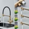 Golden Water Filter Kitchen Tap Brass Drinking Filtered Crane Dual Spout Mixer 360 Degree Rotation Water Purification Taps