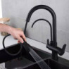 Gourmet Kitchen Tap Kitchen Sink Tap Pure Straight Drinking Full Copper Pull-out Hot and Cold Water Black Kitchen Tap