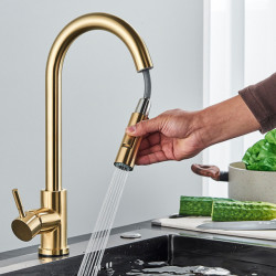 304 Stainless Steel Kitchen Sink Tap Gold Black Brushed Sink Vegetable Basin Pull-out Tap Kitchen Accessories