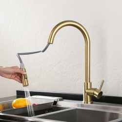 304 Stainless Steel Kitchen Pull-out Tap Gold Black Brushed Sink Vegetable Basin Cold And Hot Mixed Water Tap