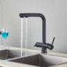 Kitchen Pull-out Filtered Tap Black Brass Purifier Tap 360 Rotation Dual Sprayer Drinking Water Tap Vessel Sink Mixer Tap