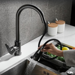 Kitchen Black Stainless Steel Pull Outlet Type Tap Double Cold and Hot Water Dish Washing Basin Sink Retractable Pull Tap