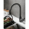 Kitchen Black Stainless Steel Pull Outlet Type Tap Double Cold and Hot Water Dish Washing Basin Sink Retractable Pull Tap