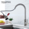 Kitchen Tap with Pull Down Sprayer with Pull Out Sprayer Single Hole Single Handle Stainless Steel Rv Kitchen Taps