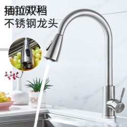 Kitchen Tap with Pull Down Sprayer with Pull Out Sprayer Single Hole Single Handle Stainless Steel Rv Kitchen Taps