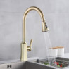 Brushed Gold Kitchen Tap Hot And Cold Water Mixer Tap For Kitchen Pull Out Mixer Crane 2 Function Spout Brass Water Mixer