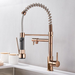 Kitchen Tap All Copper Pull-out Kitchen Sink Tap Double Outlet Water Cooled Hot Wash Vegetable Basin Spring Tap