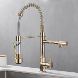 Kitchen Tap All Copper Pull-out Kitchen Sink Tap Double Outlet Water Cooled Hot Wash Vegetable Basin Spring Tap